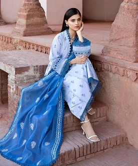 Embroidered Karandi Dupatta