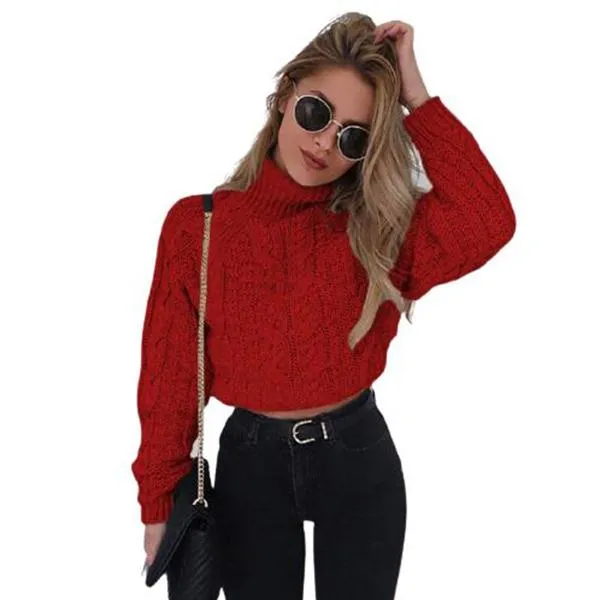 Retro Knitted Turtleneck Pullover