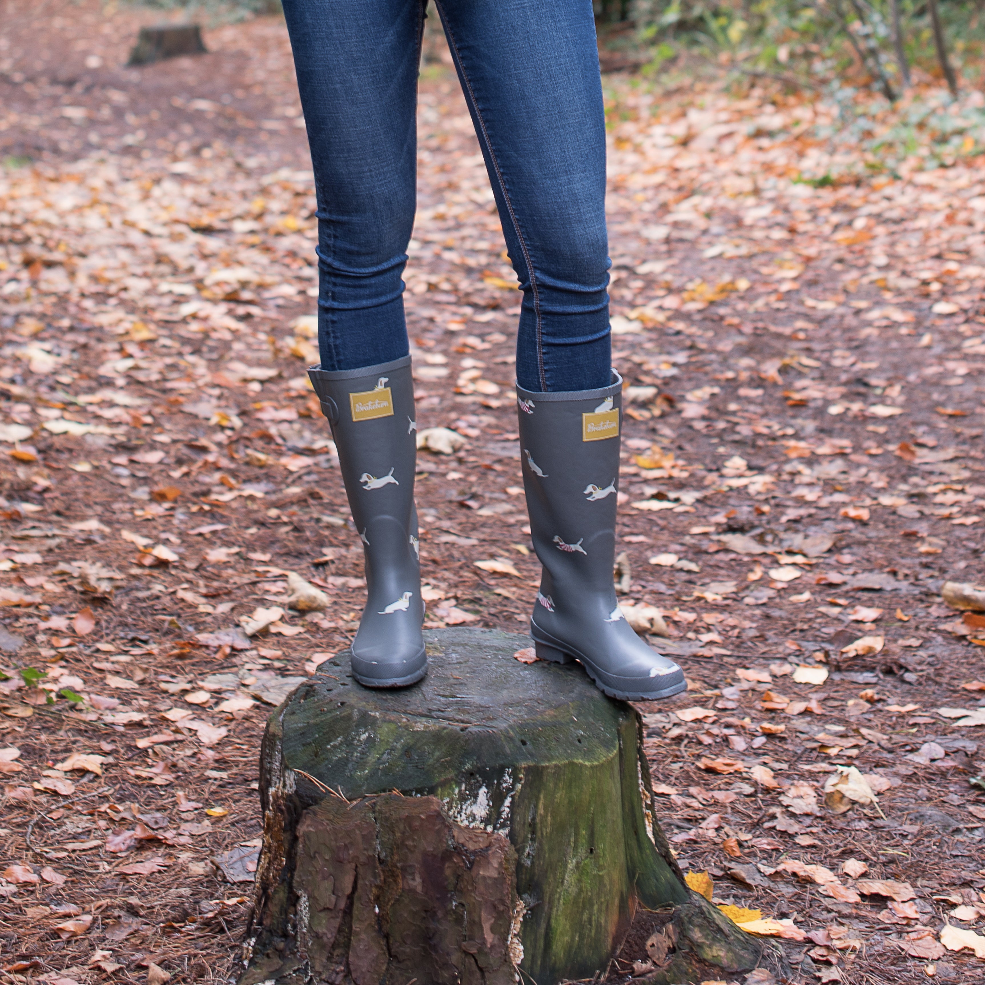 Sausage Dog Wellies