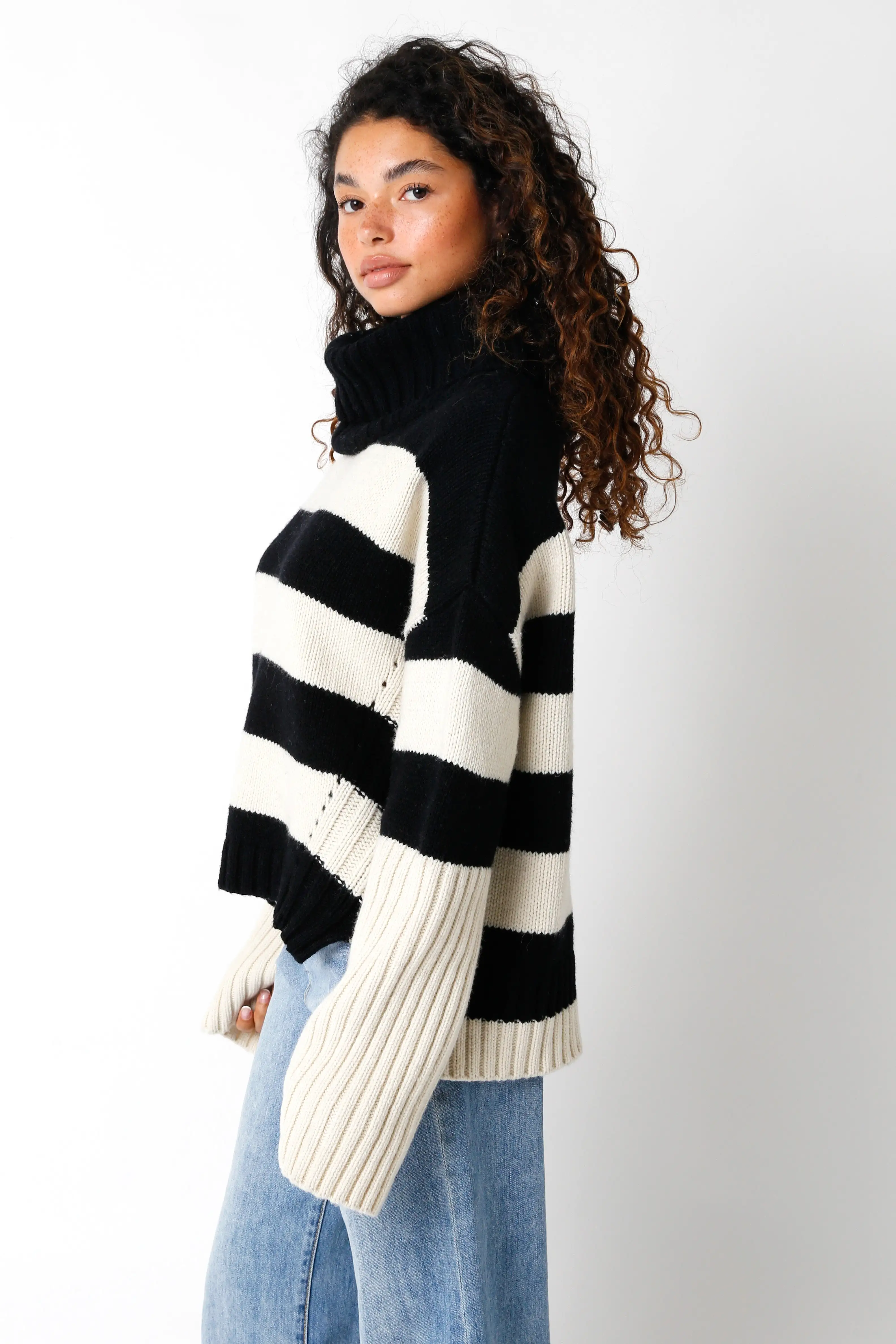 Stripe Turtleneck Sweater